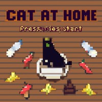 CAT AT HOME